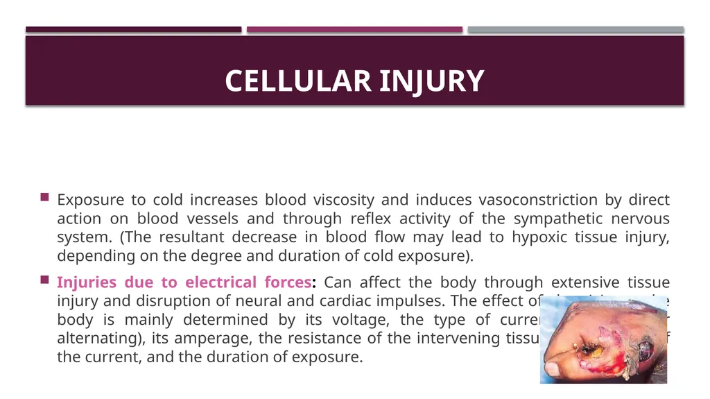 Cellular adaptation and cellular injury Prof. Dr. - slide 15 of 25