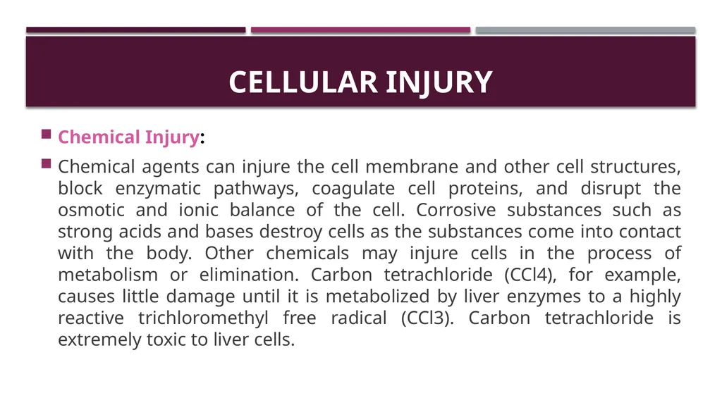 Cellular adaptation and cellular injury Prof. Dr. - slide 19 of 25