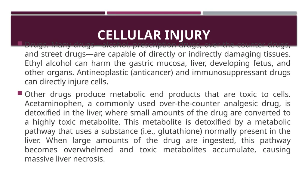 Cellular adaptation and cellular injury Prof. Dr. - slide 20 of 25