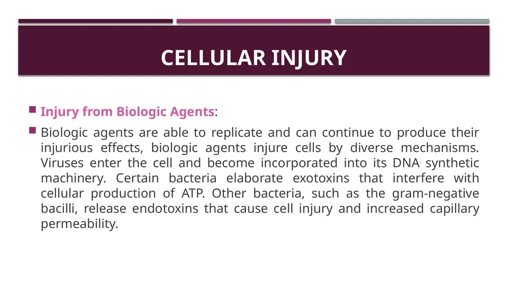 Cellular adaptation and cellular injury Prof. Dr. - slide 21 of 25