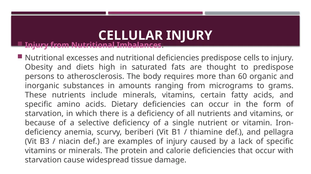 Cellular adaptation and cellular injury Prof. Dr. - slide 22 of 25