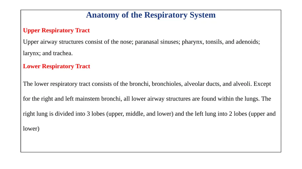 Respiratory System Prepared by Ali Malik Tiryag - slide 3 of 20