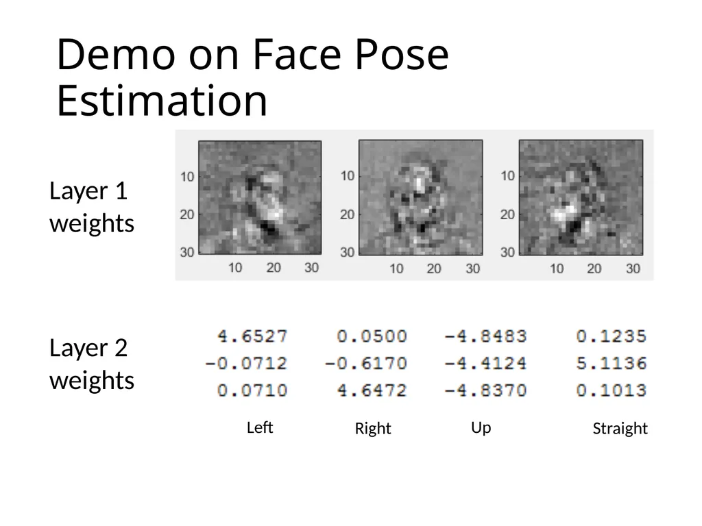 Artificial Neural Networks What are Artificial - slide 22 of 29