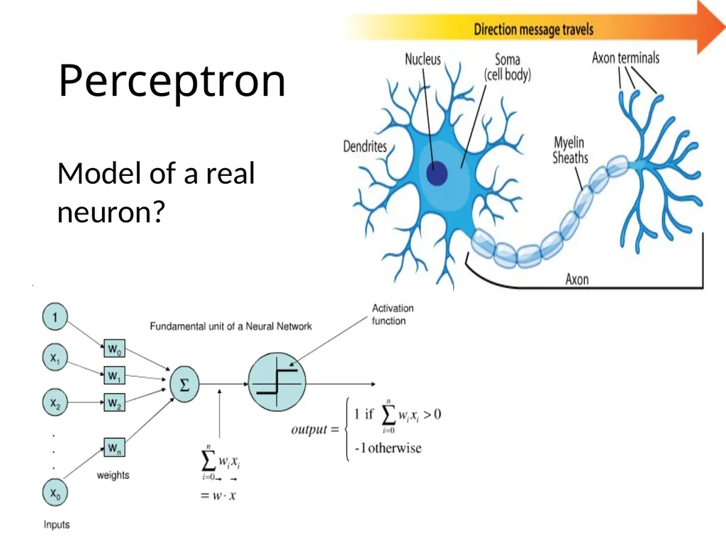 Artificial Neural Networks What are Artificial - slide 8 of 29