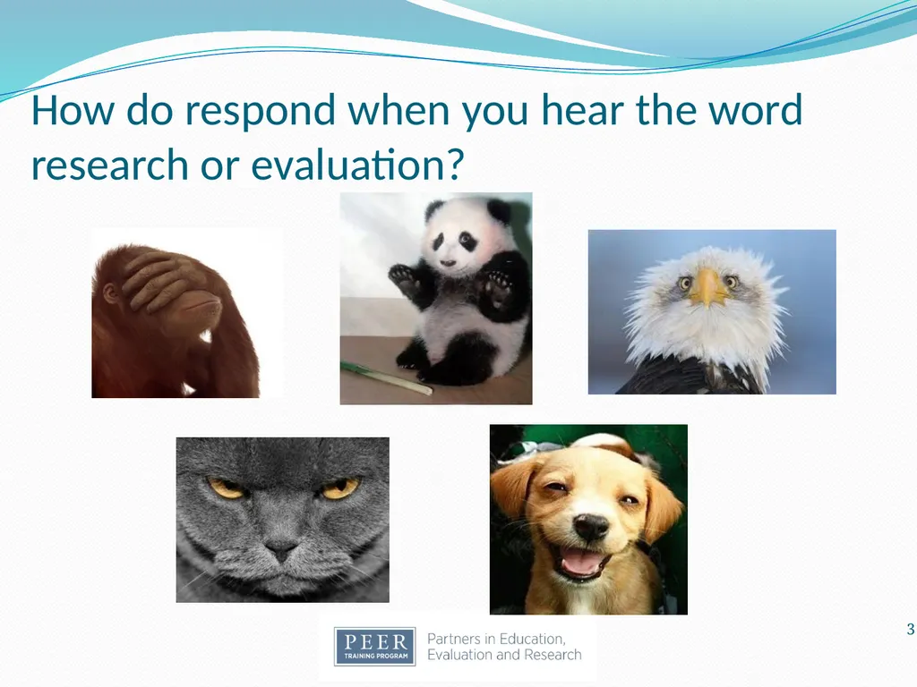 Introduction to Research & Evaluation Module - slide 3 of 31