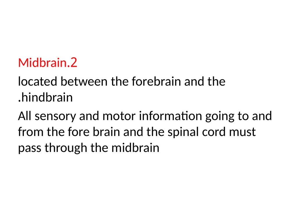 Biological basis of behavior *The physical - slide 20 of 23