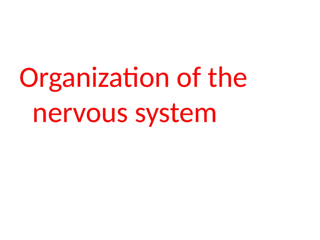 Biological basis of behavior *The physical - slide 13 of 23