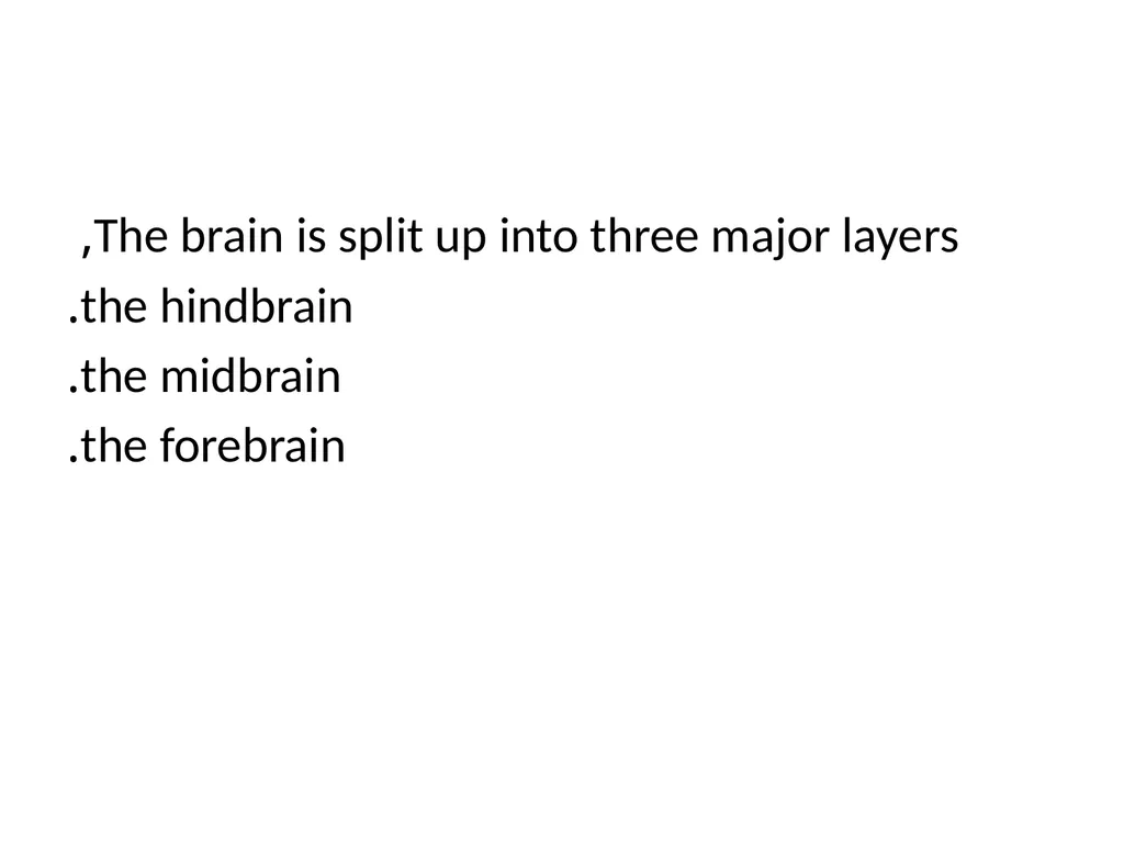 Biological basis of behavior *The physical - slide 18 of 23