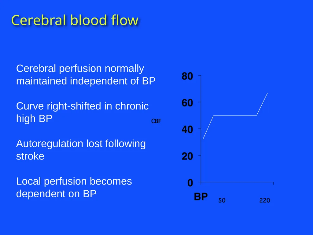 RAPID INTERVENTION WITH GTN IN HYPERACUTE STROKE - slide 10 of 28