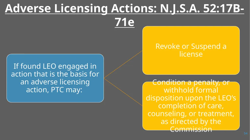 Law Enforcement Licensing AN OVERVIEW 1 SECTION I: - slide 54 of 76