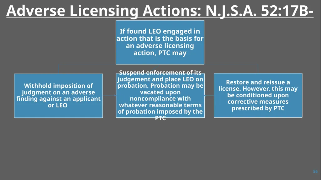 Law Enforcement Licensing AN OVERVIEW 1 SECTION I: - slide 56 of 76