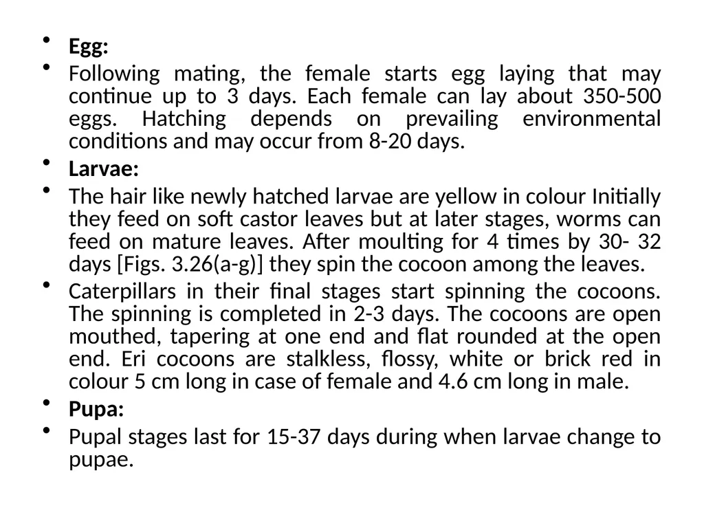 ERI SILK WORM Silk production has a long history. - slide 6 of 11