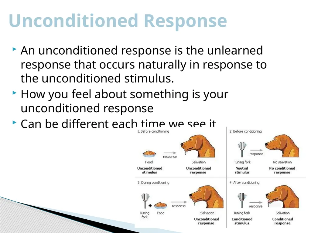 Behavioral Psychology Theory The philosophy that - slide 5 of 12