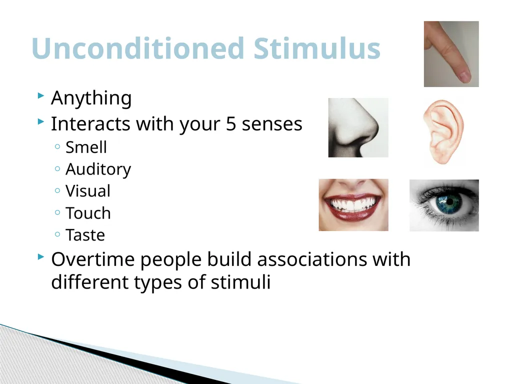 Behavioral Psychology Theory The philosophy that - slide 4 of 12