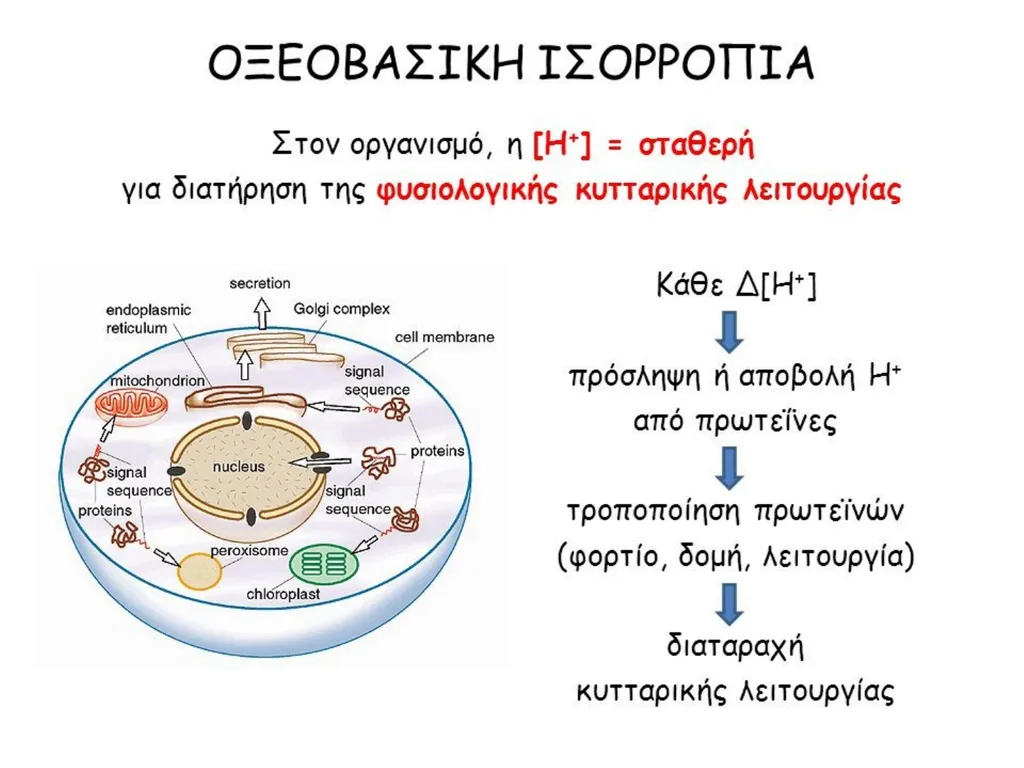 Αικατερίνη Θ. Μαστοράκη Ακαδημαικός Υπότροφος, 1η - slide 31 of 41