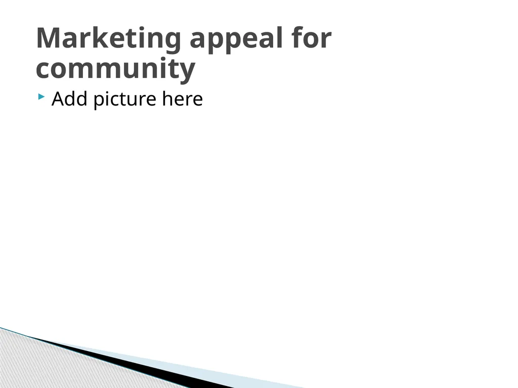The Millennial Generation Developing Marketing - slide 24 of 40