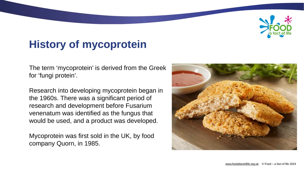 Mycoprotein Mycoprotein Mycoprotein is a form of - slide 3 of 9
