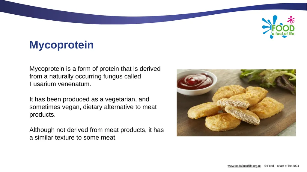Mycoprotein Mycoprotein Mycoprotein is a form of - slide 2 of 9