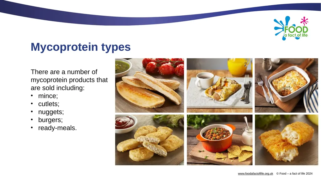 Mycoprotein Mycoprotein Mycoprotein is a form of - slide 8 of 9