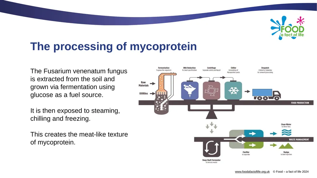 Mycoprotein Mycoprotein Mycoprotein is a form of - slide 4 of 9