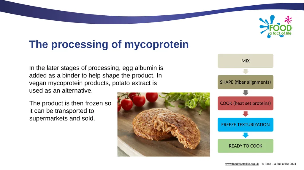 Mycoprotein Mycoprotein Mycoprotein is a form of - slide 5 of 9