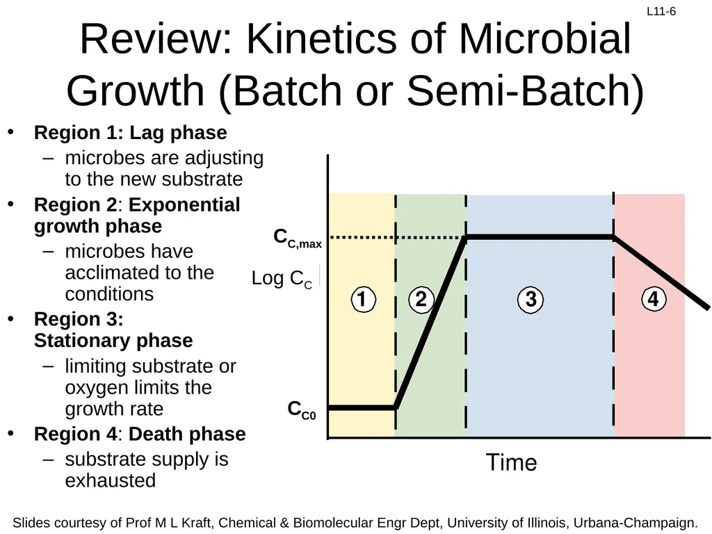 Review: Rate Equation for Enzymatic Reaction - slide 6 of 27