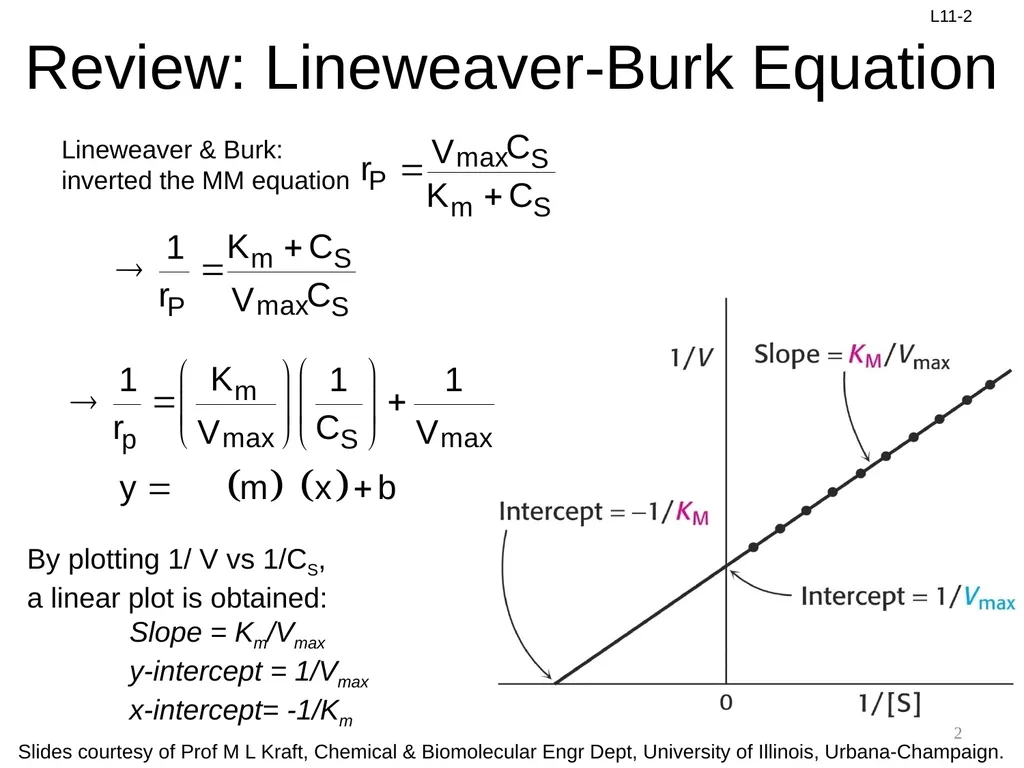 Review: Rate Equation for Enzymatic Reaction - slide 2 of 27