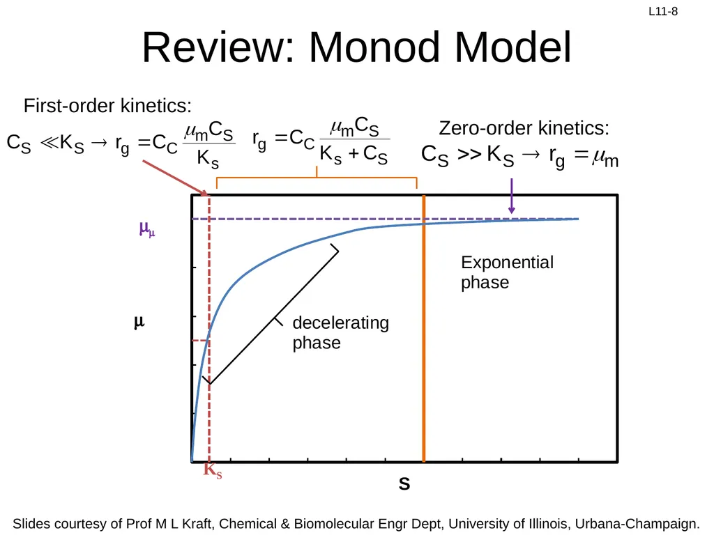 Review: Rate Equation for Enzymatic Reaction - slide 8 of 27