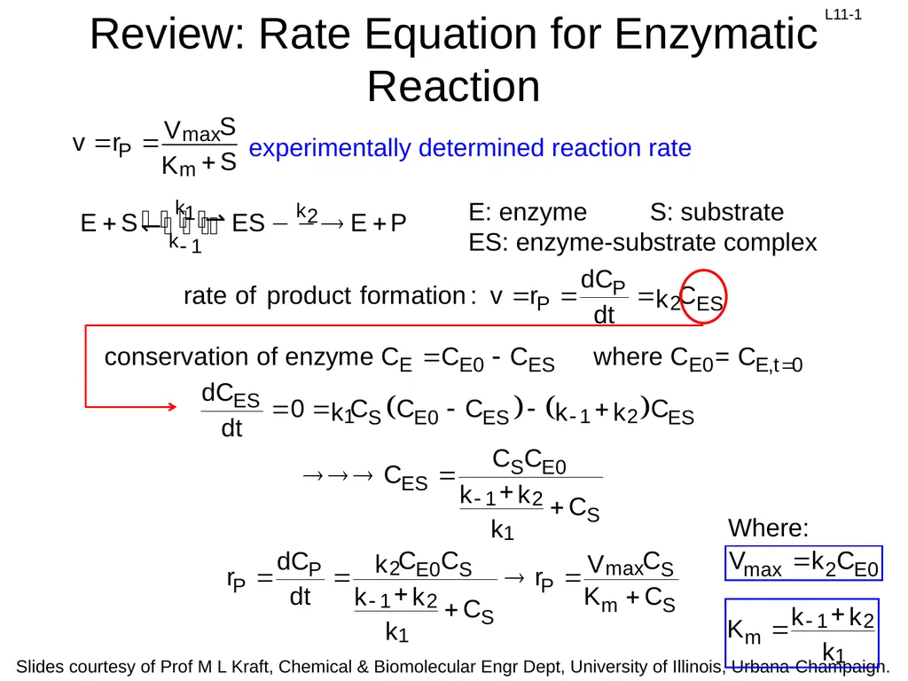 Review: Rate Equation for Enzymatic Reaction - slide 1 of 27