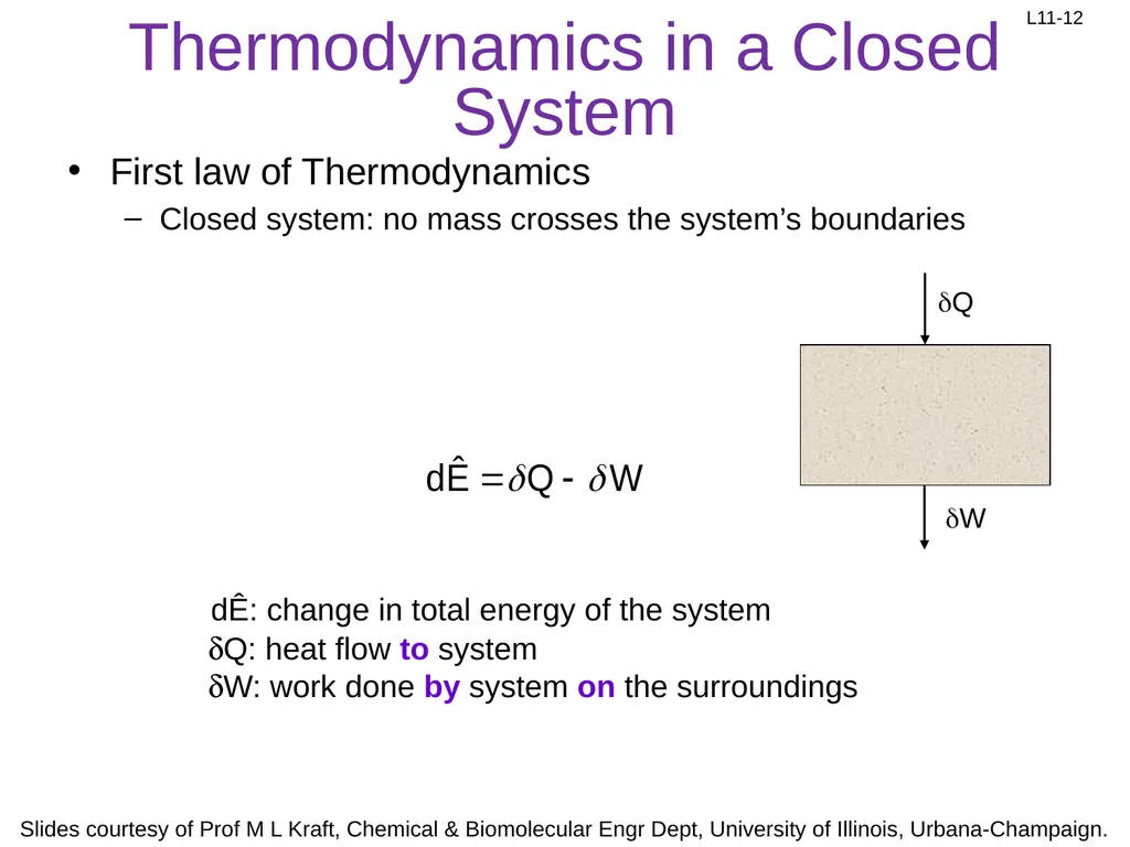 Review: Rate Equation for Enzymatic Reaction - slide 12 of 27