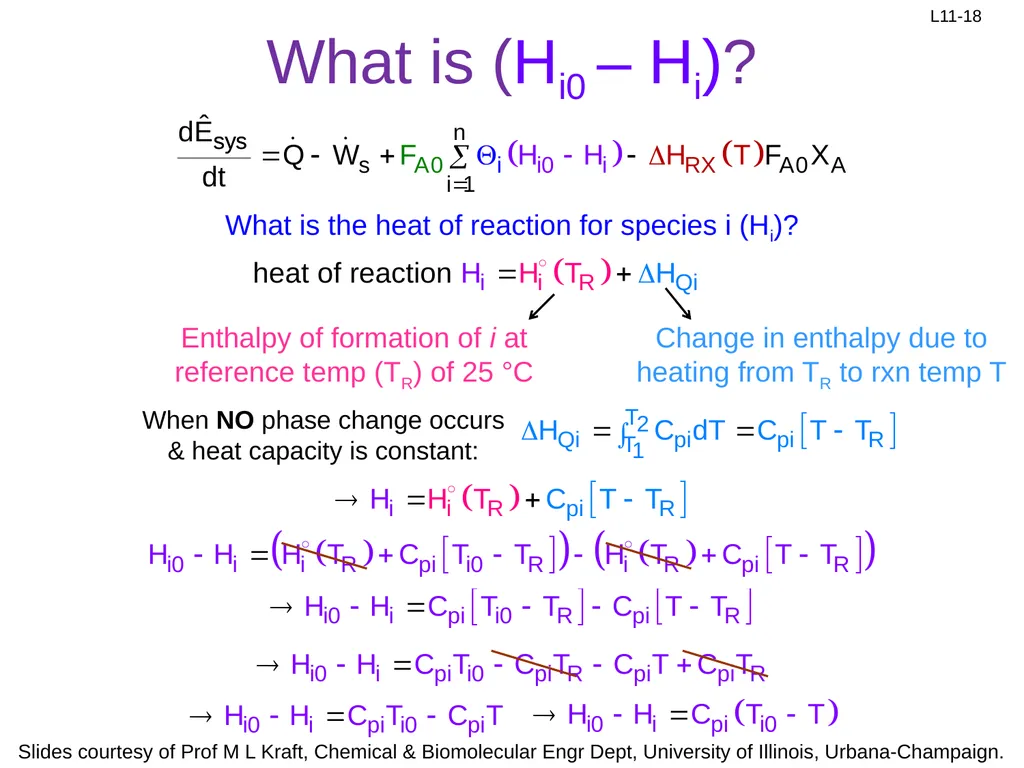 Review: Rate Equation for Enzymatic Reaction - slide 18 of 27