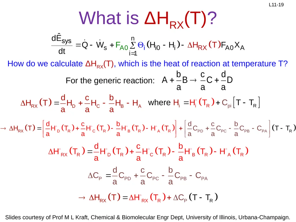 Review: Rate Equation for Enzymatic Reaction - slide 19 of 27