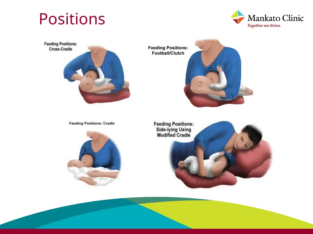 Introduction to breastfeeding Babies should be - slide 19 of 38