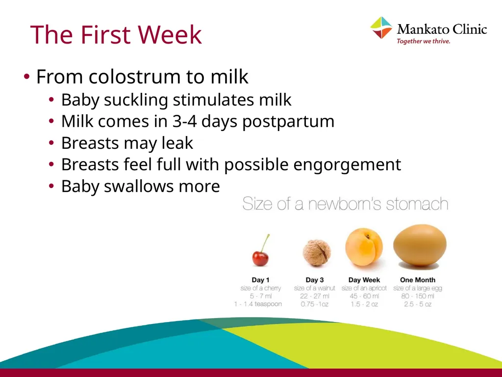 Introduction to breastfeeding Babies should be - slide 8 of 38