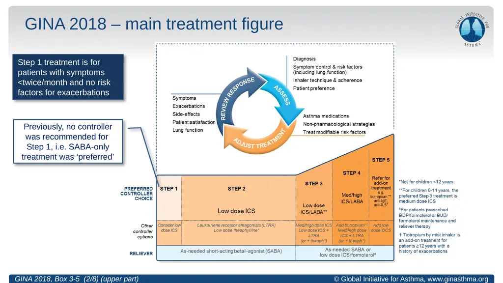 Global Initiative for Asthma (GINA) What’s new in - slide 7 of 32
