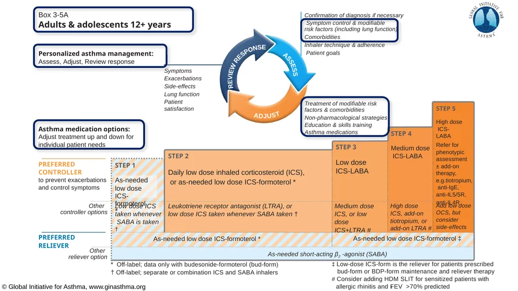 Global Initiative for Asthma (GINA) What’s new in - slide 10 of 32