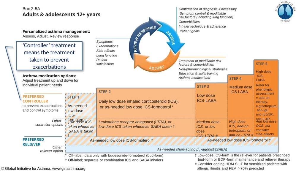 Global Initiative for Asthma (GINA) What’s new in - slide 11 of 32