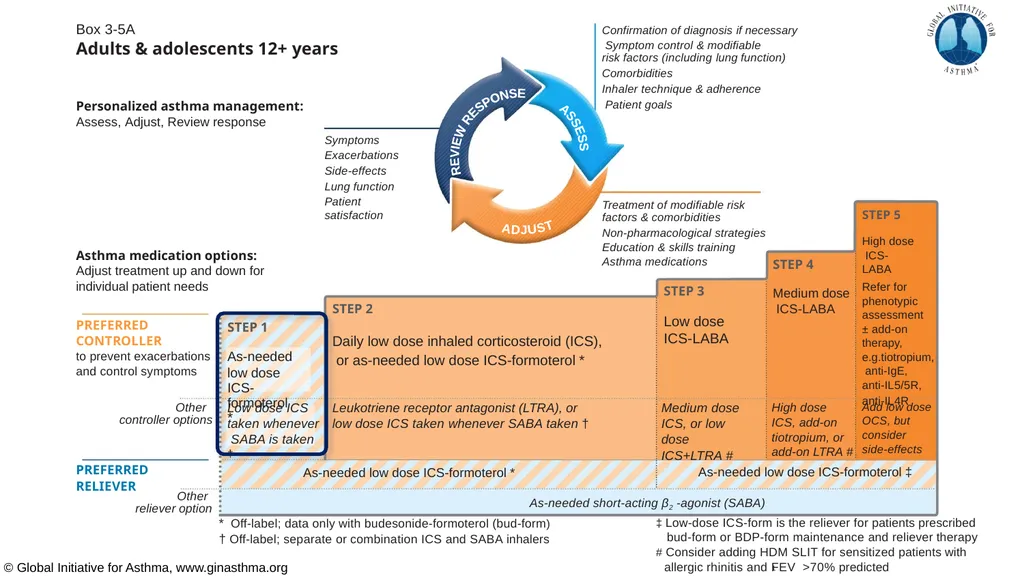 Global Initiative for Asthma (GINA) What’s new in - slide 19 of 32