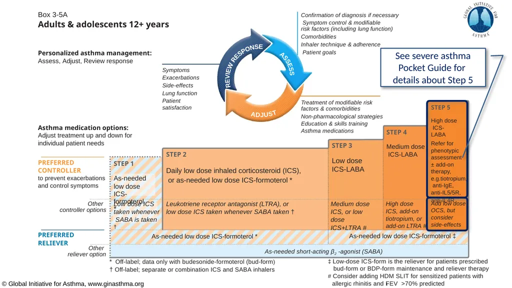 Global Initiative for Asthma (GINA) What’s new in - slide 24 of 32