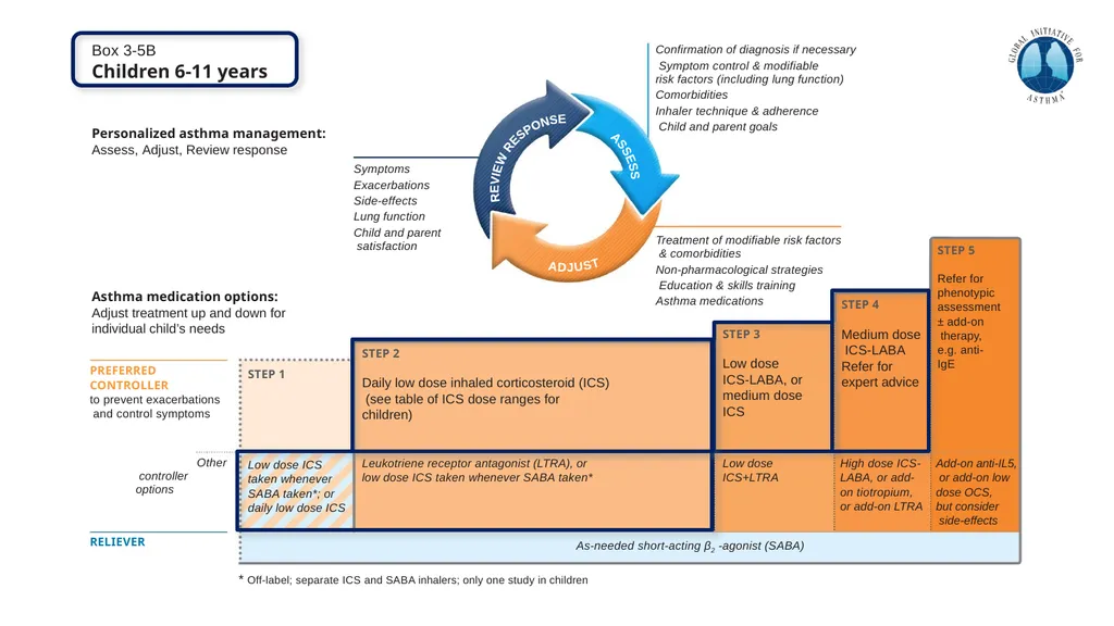 Global Initiative for Asthma (GINA) What’s new in - slide 26 of 32