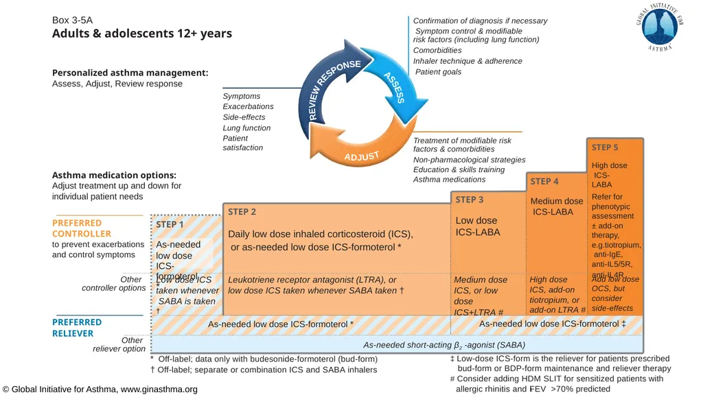 Global Initiative for Asthma (GINA) What’s new in - slide 9 of 32