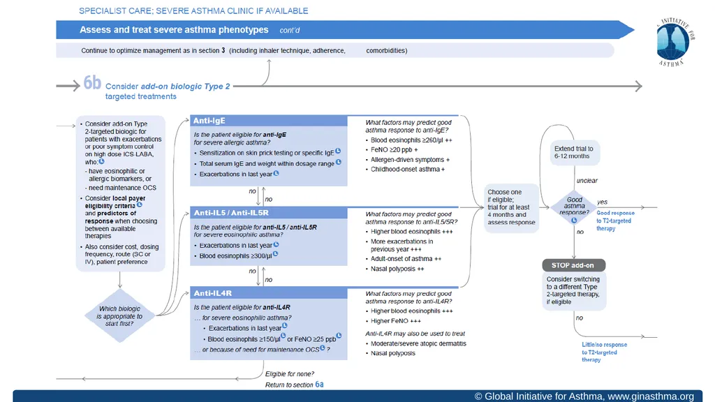 Global Initiative for Asthma (GINA) What’s new in - slide 30 of 32