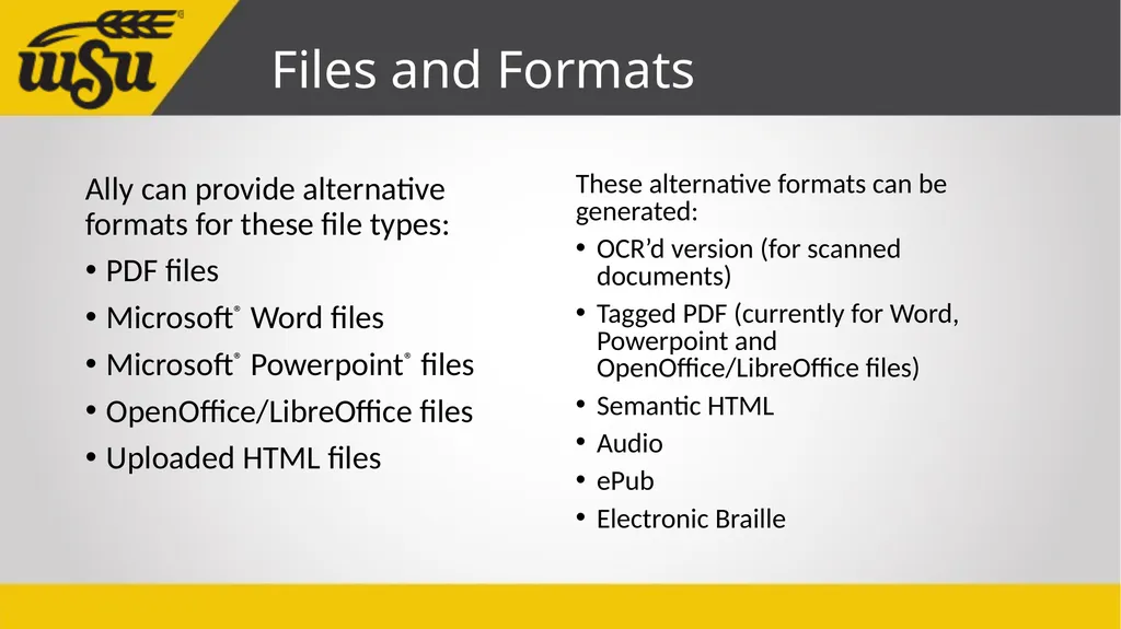 Instructor’s Guide to Blackboard Ally John Jones - slide 6 of 26