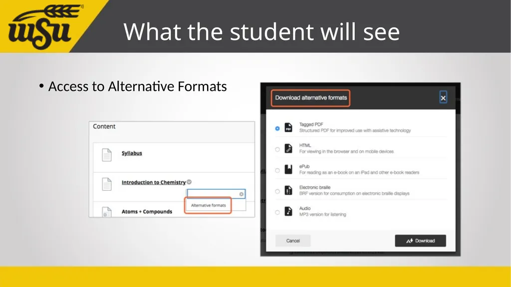 Instructor’s Guide to Blackboard Ally John Jones - slide 5 of 26