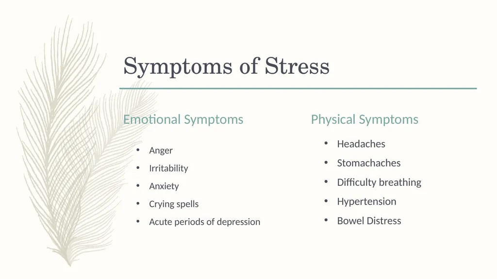 Practicing Self Care in a Busy Life Presented by : - slide 4 of 14