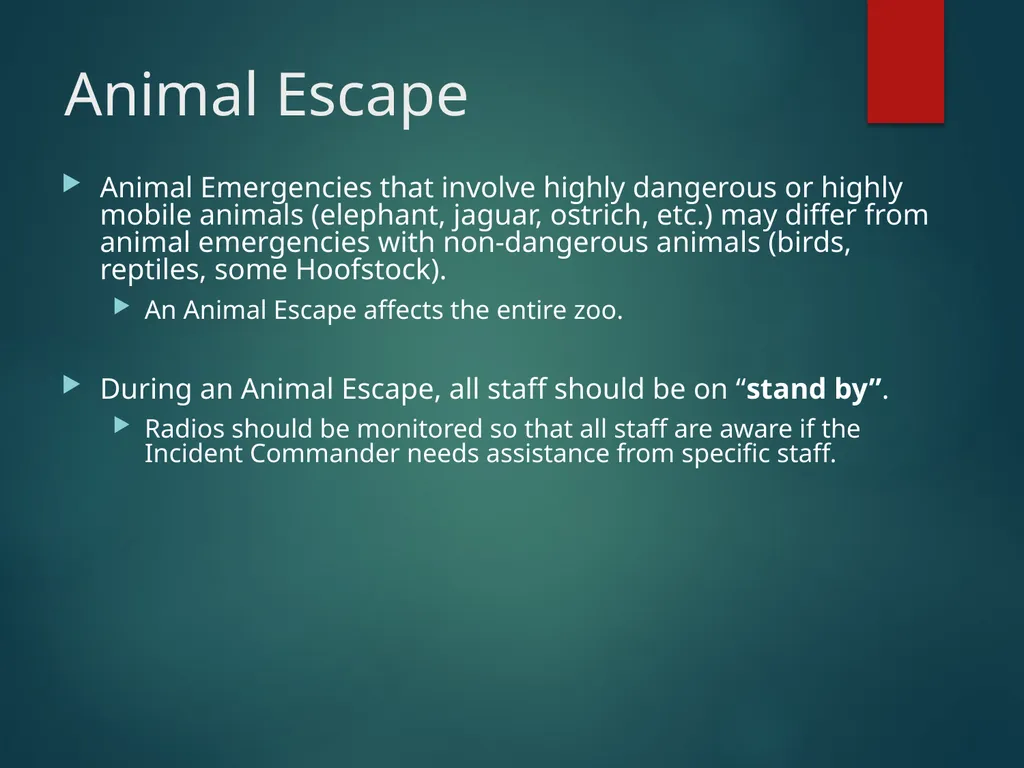 ANIMAL ESCAPE TABLETOP DRILL Your institution - slide 4 of 21