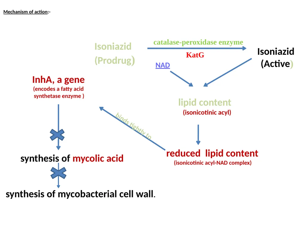 AntituberculAr drugs Dr. Sujata SINGH PH 1.44: - slide 12 of 33