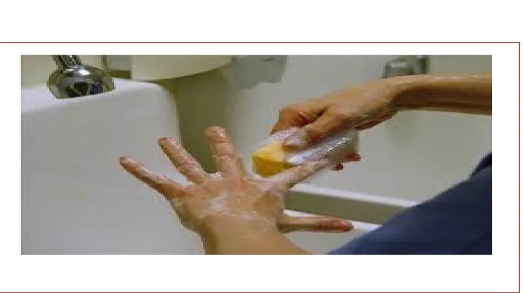 Fundamentals of Nursing(1st Stage) Surgical hand - slide 15 of 21