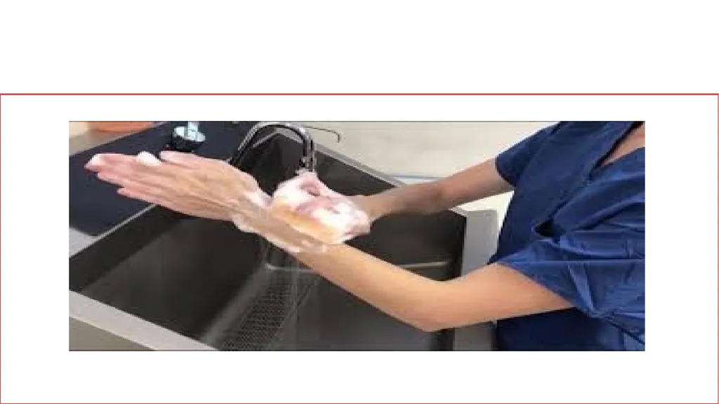 Fundamentals of Nursing(1st Stage) Surgical hand - slide 17 of 21