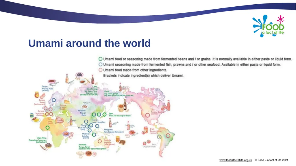 Umami What is umami? Umami is a savoury taste, - slide 10 of 14